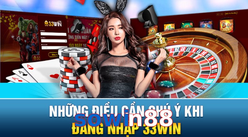 sowin88