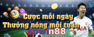 sowin88